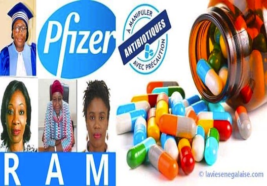 Santé /  Résistance aux Antimicrobiens : experts et professionnels des médias d’Afrique francophone prennent part à une table ronde de Pfizer