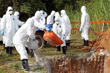 Côte d'Ivoire / Les Eleveurs de porcs aux abois : plus de 200 éleveurs de songon déposent une pétition sur la table du premier ministre pour rappeler leur situation intenable à cause de l'indemnisation non faite
